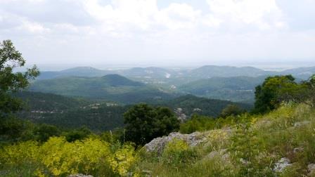 2014-06-10-nr33-GR-Dadia NP-Gibraina-Blick vom Gipfel